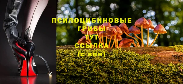 винт Алексин