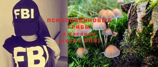 винт Алексин